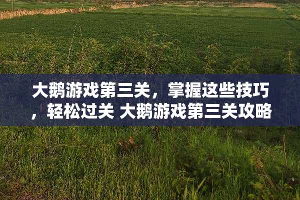 大鹅游戏第三关，掌握这些技巧，轻松过关 大鹅游戏第三关攻略