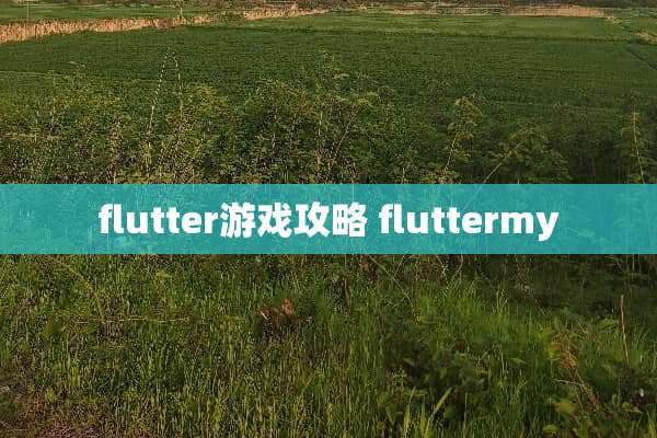 flutter游戏攻略 fluttermy