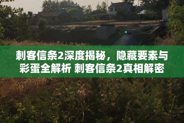 刺客信条2深度揭秘，隐藏要素与彩蛋全解析 刺客信条2**解密攻略