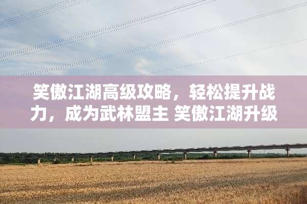 笑傲江湖高级攻略，轻松提升战力，成为武林盟主 笑傲江湖升级攻略