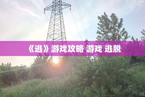 《逃》游戏攻略 游戏 逃脱