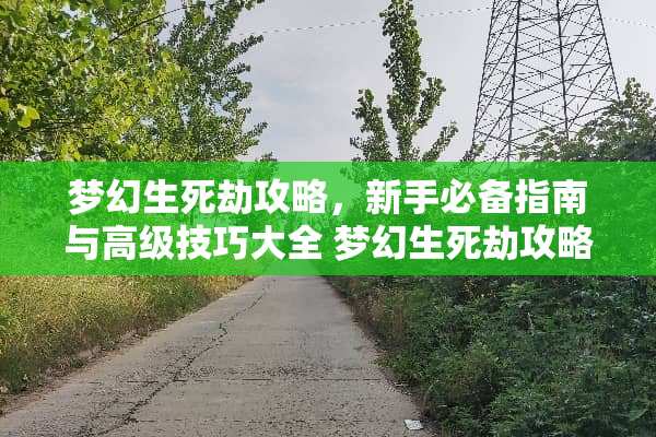 梦幻生死劫攻略，新手必备指南与高级技巧大全 梦幻生死劫攻略