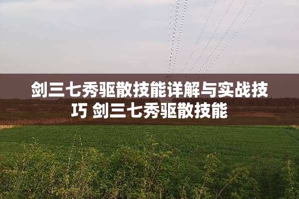 剑三七秀驱散技能详解与实战技巧 剑三七秀驱散技能