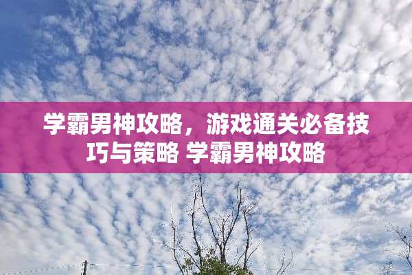 学霸男神攻略，游戏通关必备技巧与策略 学霸男神攻略