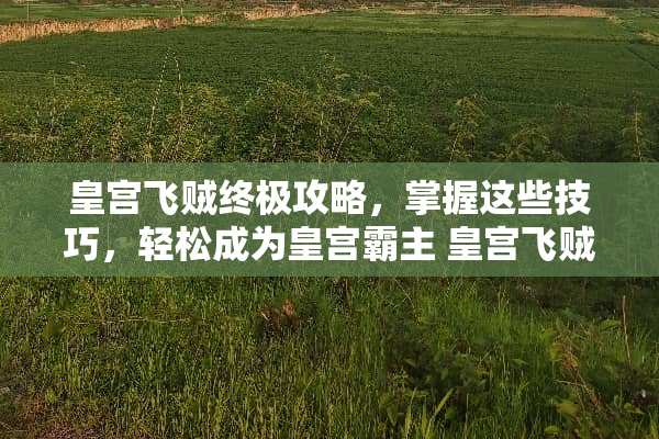 皇宫飞贼终极攻略，掌握这些技巧，轻松成为皇宫霸主 皇宫飞贼攻略