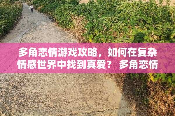 多角恋情游戏攻略，如何在复杂情感世界中找到真爱？ 多角恋情游戏攻略