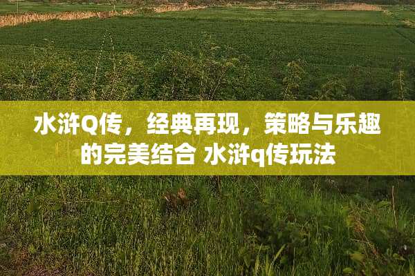 水浒Q传，经典再现，策略与乐趣的完美结合 水浒q传玩法