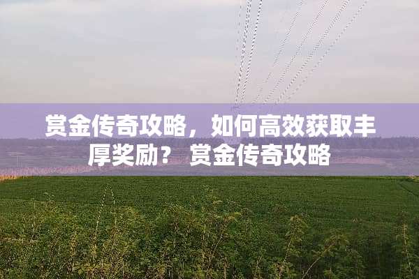 赏金传奇攻略，如何高效获取丰厚奖励？ 赏金传奇攻略