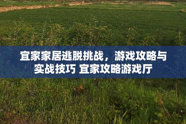 宜家家居逃脱挑战，游戏攻略与实战技巧 宜家攻略游戏厅