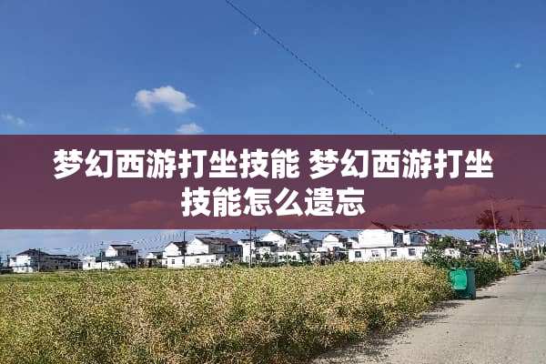 梦幻西游打坐技能 梦幻西游打坐技能怎么遗忘