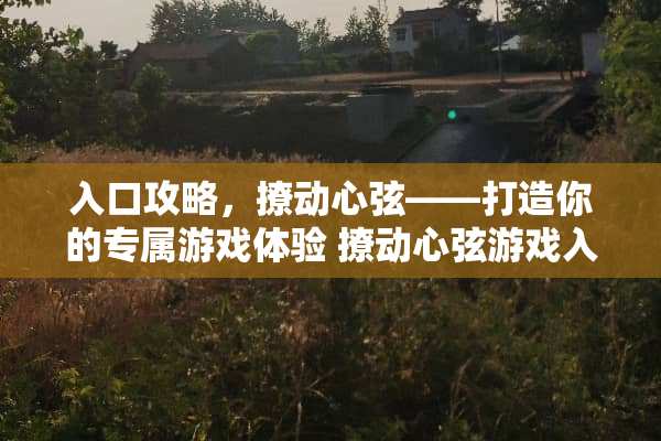 入口攻略，撩动心弦——打造你的专属游戏体验 撩动心弦游戏入口攻略