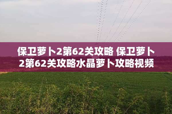 保卫萝卜2第62关攻略 保卫萝卜2第62关攻略水晶萝卜攻略视频教程
