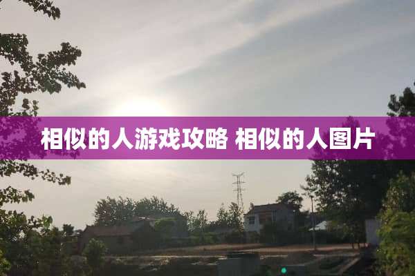 相似的人游戏攻略 相似的人图片