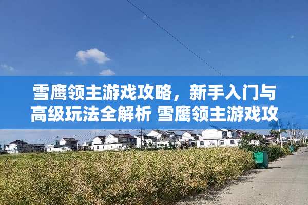 雪鹰领主游戏攻略，新手入门与高级玩法全解析 雪鹰领主游戏攻略