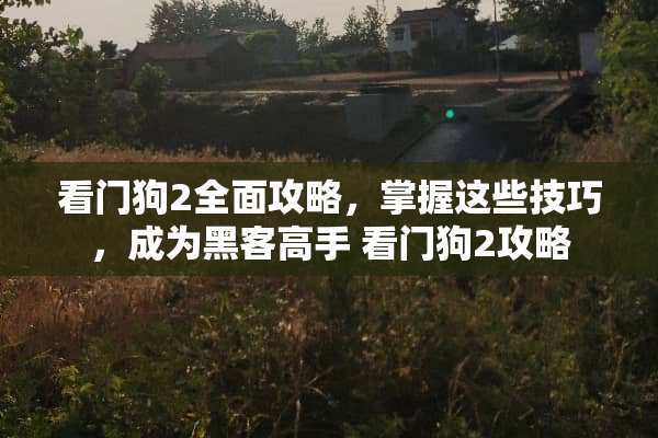 看门狗2全面攻略，掌握这些技巧，成为黑客高手 看门狗2攻略