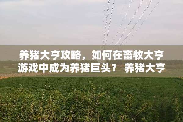 养猪大亨攻略，如何在畜牧大亨游戏中成为养猪巨头？ 养猪大亨攻略