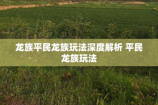 龙族平民龙族玩法深度解析 平民龙族玩法