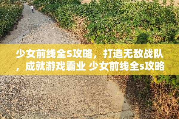 少女前线全S攻略，打造无敌战队，成就游戏霸业 少女前线全s攻略