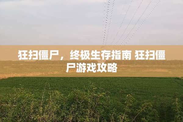 狂扫僵尸，终极生存指南 狂扫僵尸游戏攻略