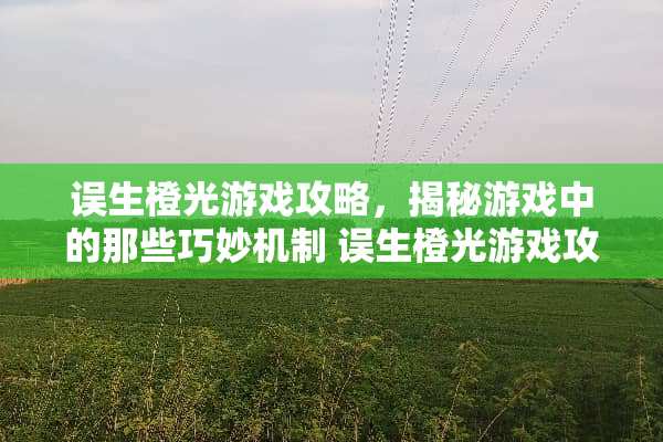 误生橙光游戏攻略，揭秘游戏中的那些巧妙机制 误生橙光游戏攻略