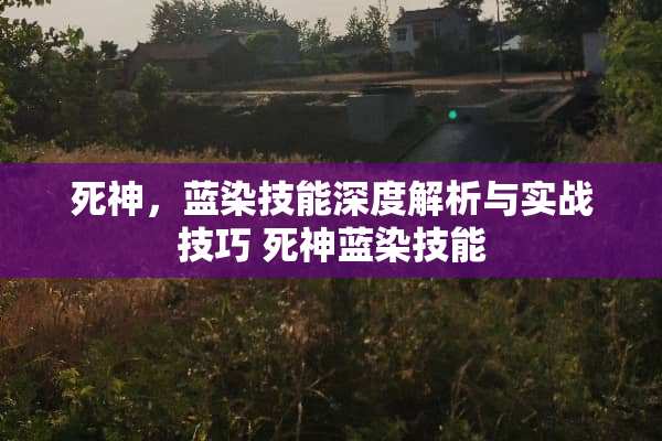 死神，蓝染技能深度解析与实战技巧 死神蓝染技能