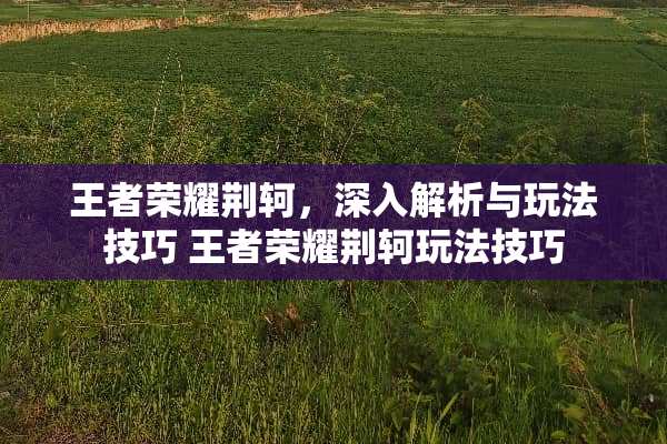 王者荣耀荆轲，深入解析与玩法技巧 王者荣耀荆轲玩法技巧