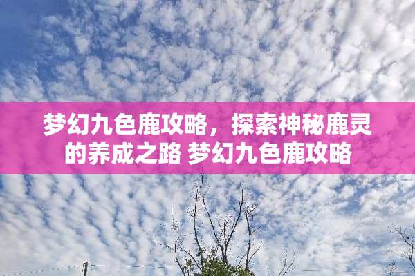 梦幻九色鹿攻略，探索神秘鹿灵的养成之路 梦幻九色鹿攻略