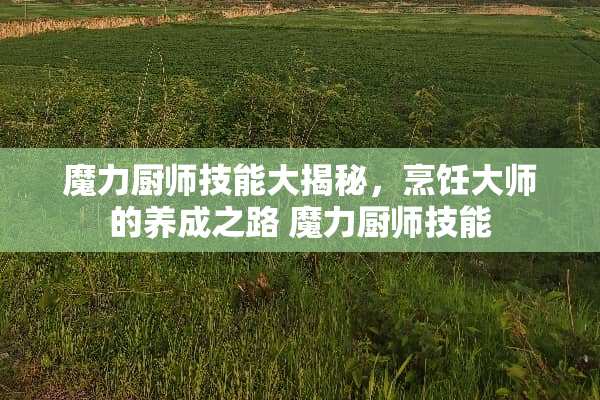 魔力厨师技能大揭秘，烹饪大师的养成之路 魔力厨师技能