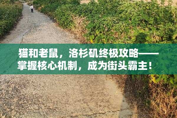 猫和老鼠，洛杉矶终极攻略——掌握核心机制，成为街头霸主！ 猫和老鼠游戏洛杉矶攻略