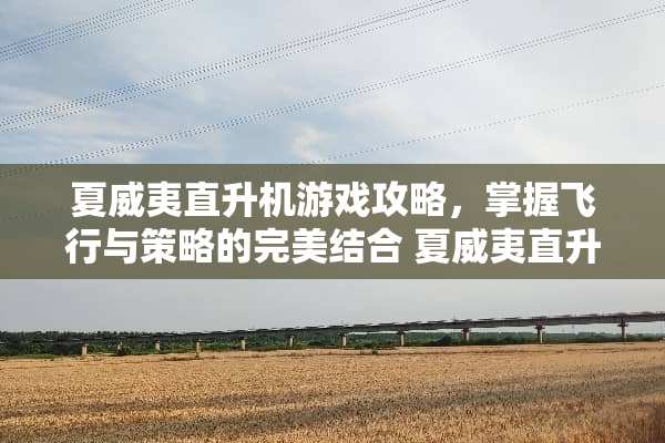 夏威夷直升机游戏攻略，掌握飞行与策略的完美结合 夏威夷直升机游戏攻略