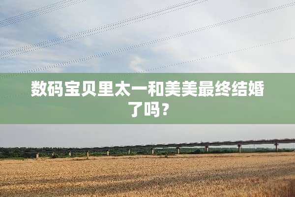 数码宝贝里太一和美美最终结婚了吗？