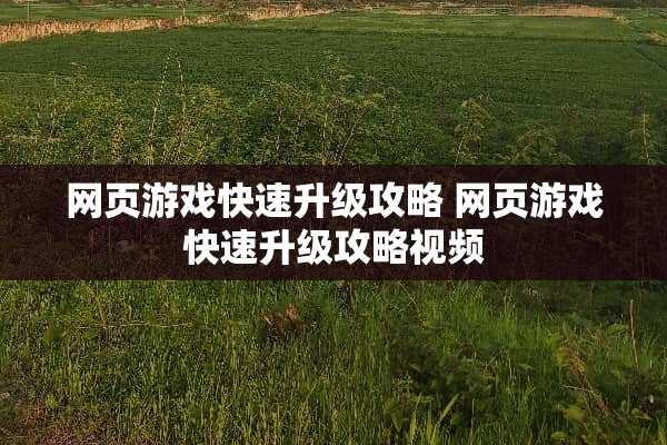 网页游戏快速升级攻略 网页游戏快速升级攻略视频