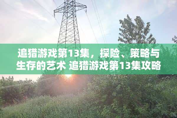 追猎游戏第13集，探险、策略与生存的艺术 追猎游戏第13集攻略