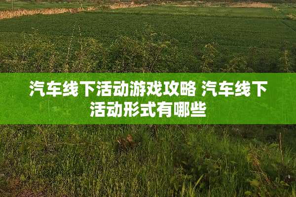 汽车线下活动游戏攻略 汽车线下活动形式有哪些