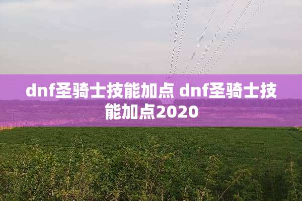 dnf圣骑士技能加点 dnf圣骑士技能加点2020