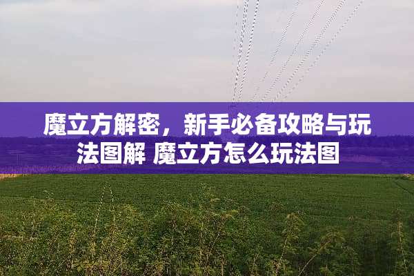 魔立方解密，新手必备攻略与玩法图解 魔立方怎么玩法图