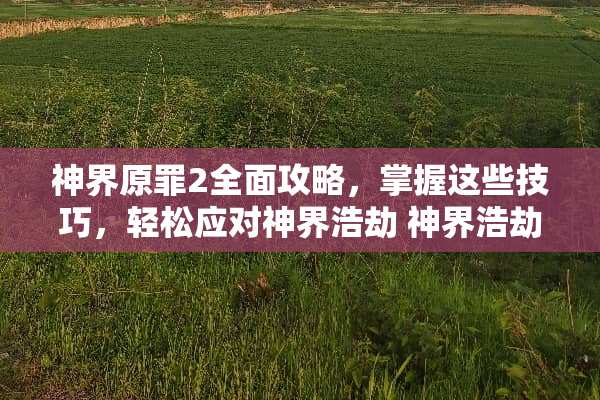 神界原罪2全面攻略，掌握这些技巧，轻松应对神界浩劫 神界浩劫攻略