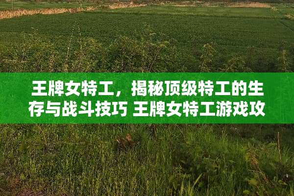 王牌女特工，揭秘**特工的生存与战斗技巧 王牌女特工游戏攻略