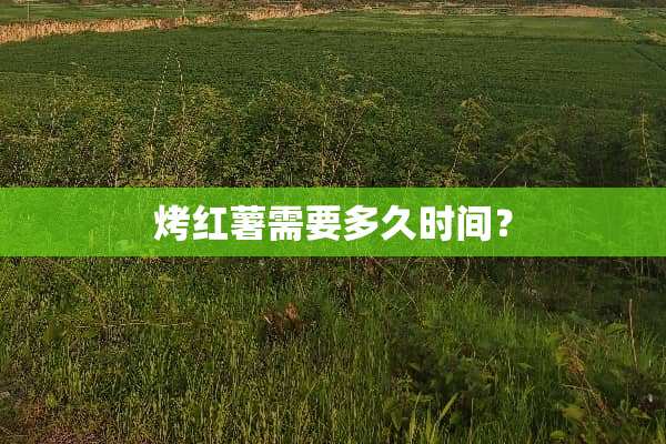 烤红薯需要多久时间？