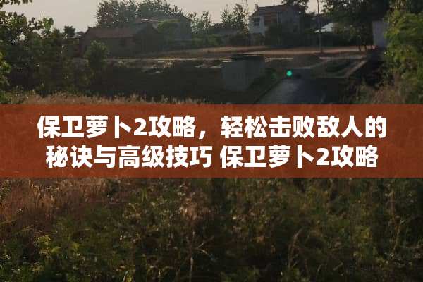 保卫萝卜2攻略，轻松击败敌人的秘诀与高级技巧 保卫萝卜2攻略97