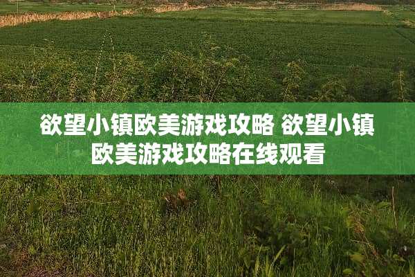 **小镇欧美游戏攻略 **小镇欧美游戏攻略在线观看