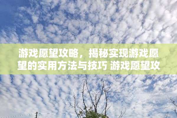 游戏愿望攻略，揭秘实现游戏愿望的实用方法与技巧 游戏愿望攻略