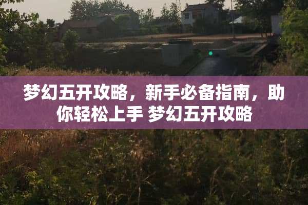 梦幻五开攻略，新手必备指南，助你轻松上手 梦幻五开攻略