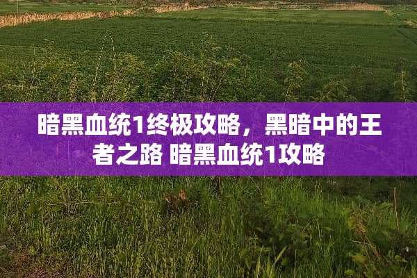 暗黑血统1终极攻略，黑暗中的王者之路 暗黑血统1攻略