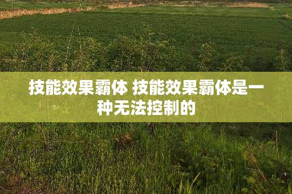 技能效果霸体 技能效果霸体是一种无法控制的