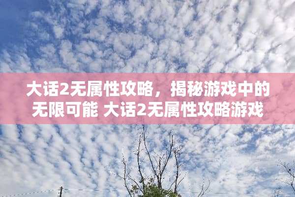 大话2无属性攻略，揭秘游戏中的无限可能 大话2无属性攻略游戏
