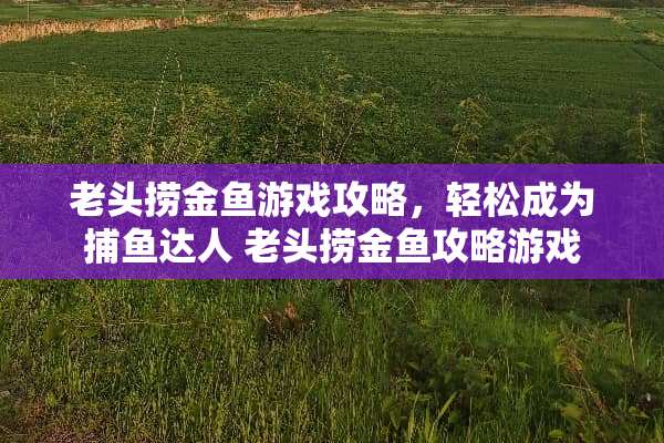 老头捞金鱼游戏攻略，轻松成为捕鱼达人 老头捞金鱼攻略游戏