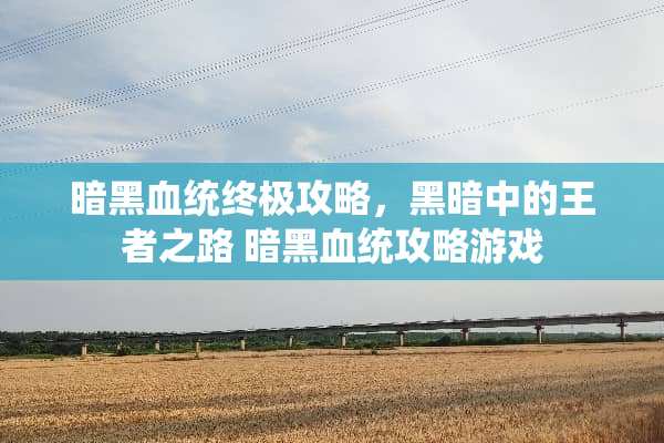 暗黑血统终极攻略，黑暗中的王者之路 暗黑血统攻略游戏