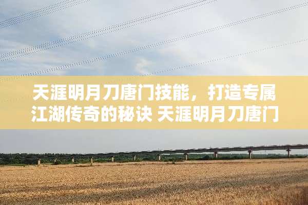 天涯明月刀唐门技能，打造专属江湖传奇的秘诀 天涯明月刀唐门技能