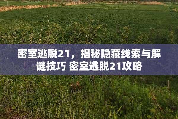 密室逃脱21，揭秘隐藏线索与解谜技巧 密室逃脱21攻略